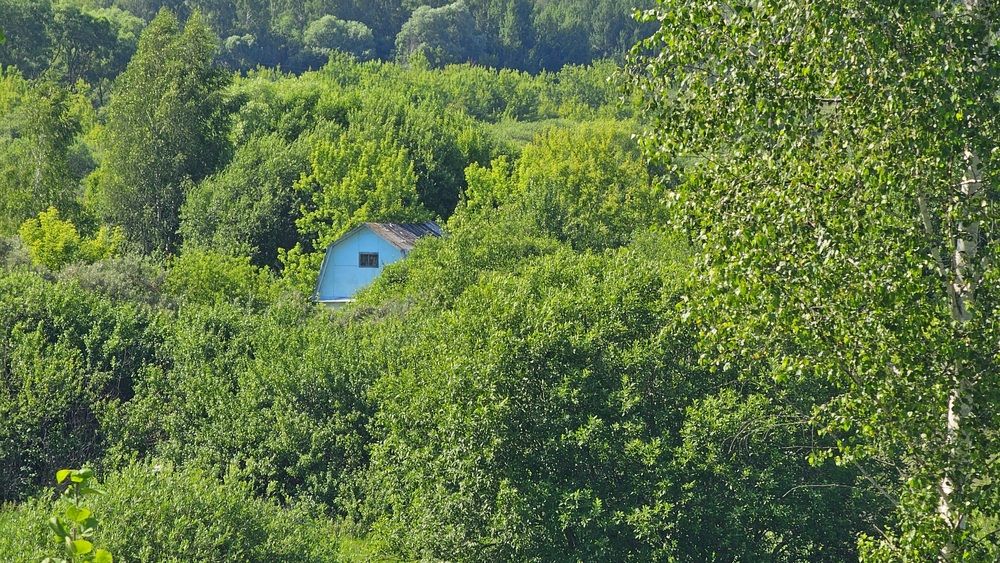 Photograph by Степан Макрушин