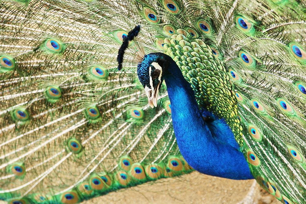 Photograph by Юрий Чистяков