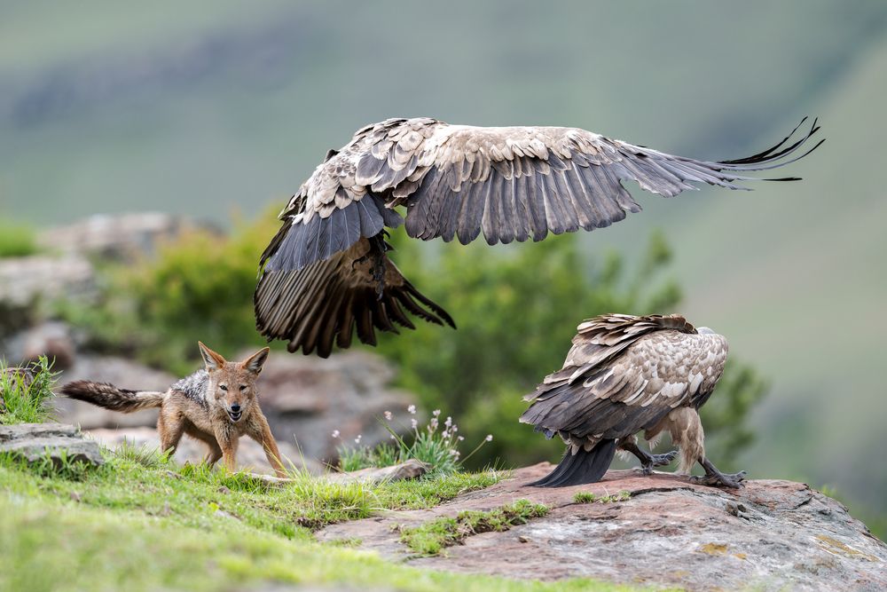 Photograph by Ruzhdi Ibrahimi