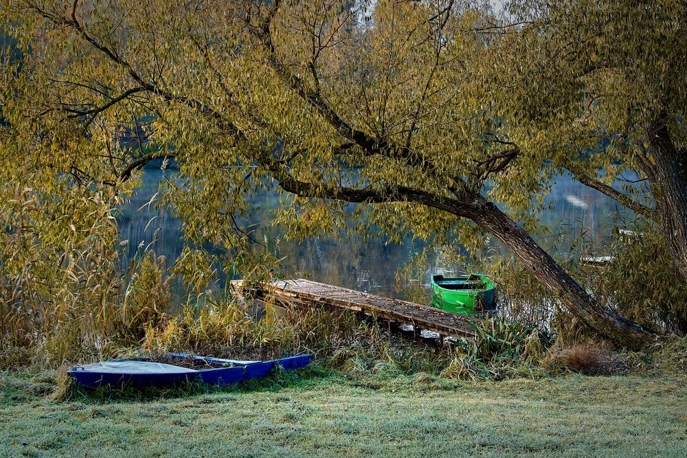 Photograph by Михаил Косолапов