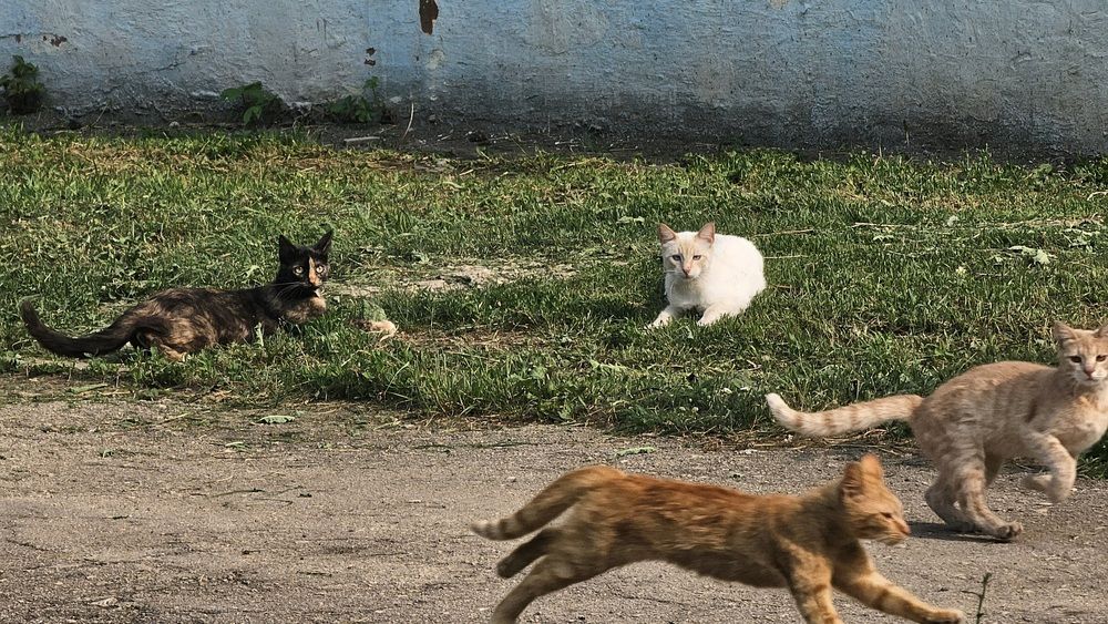 Photograph by Степан Макрушин