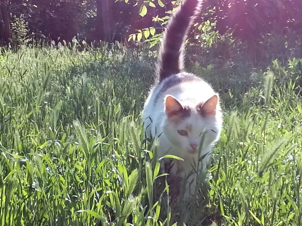 \"Я иду к тебе\"