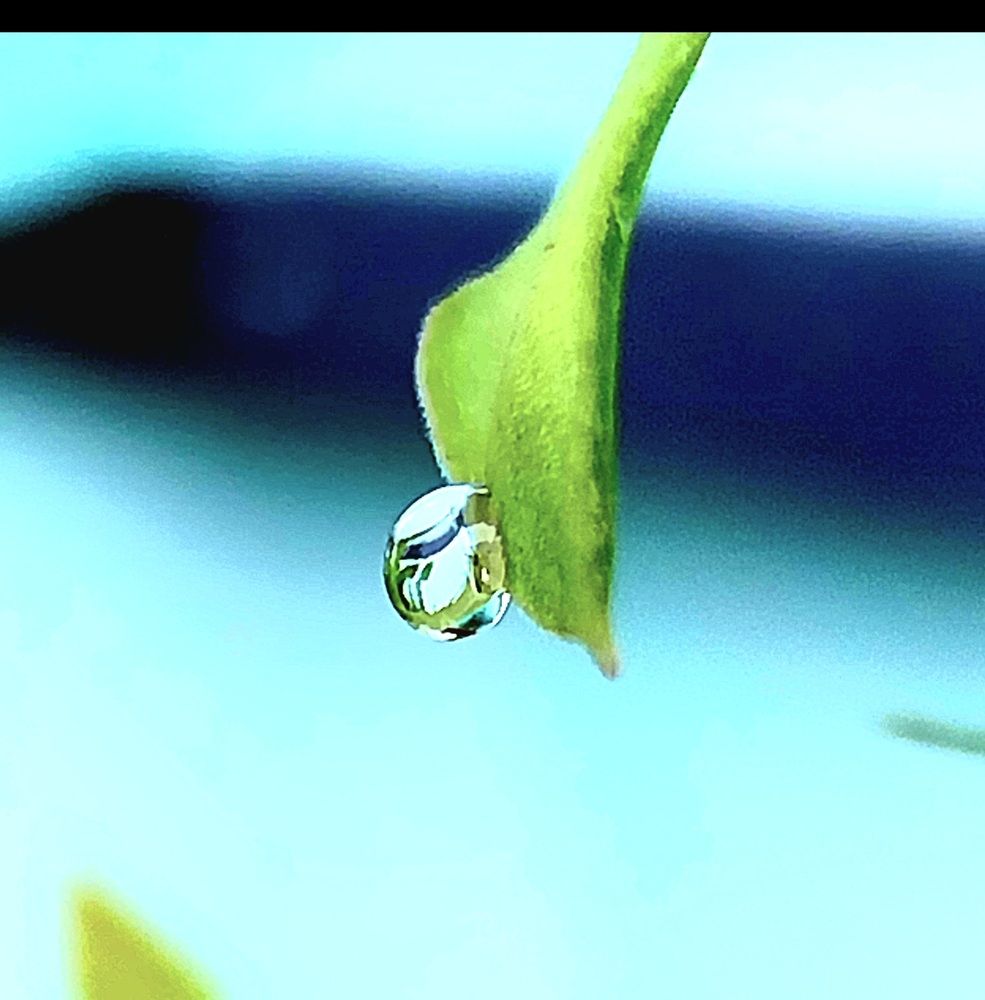 Photograph by Rahul Raman