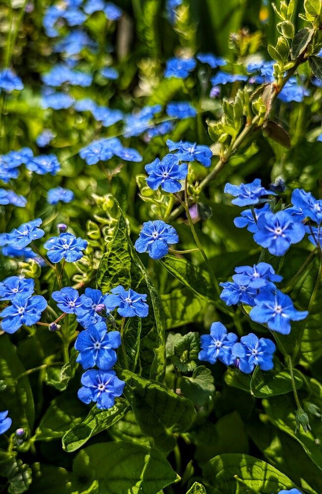 Фотография автора Любовь Колмакова