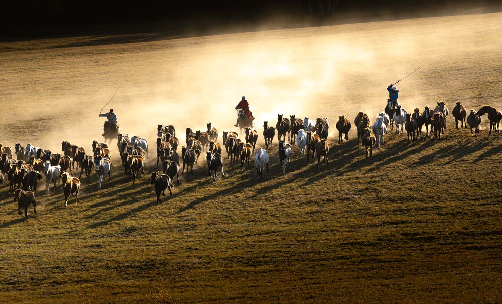 Photograph by cheng wei
