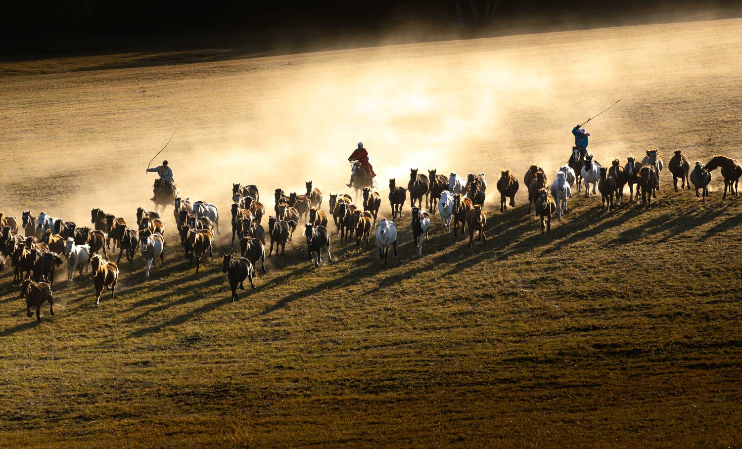 Фотография #13168931