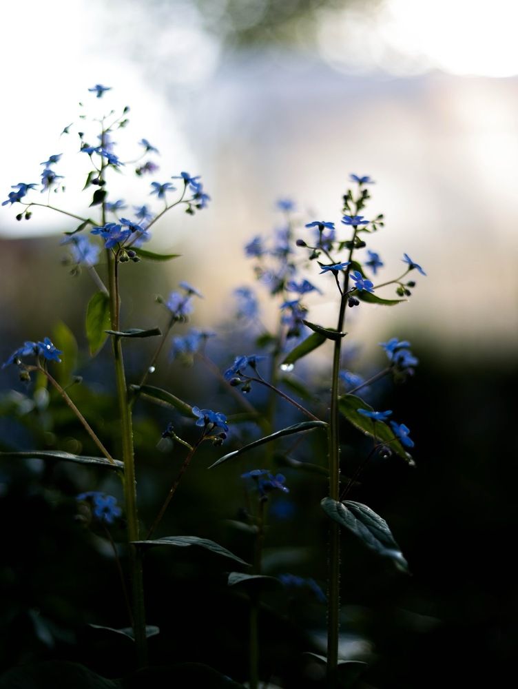 Фотография автора Яна Андреева