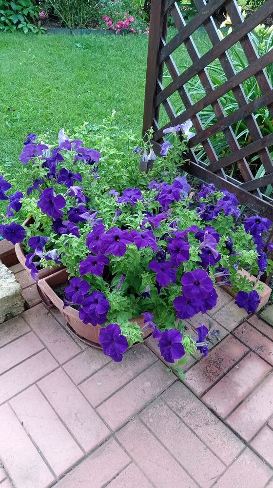 Фотография автора Костя