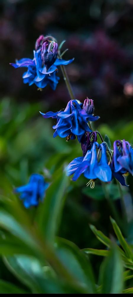 Photograph by Руслана Ковалевская