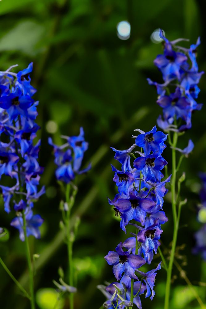 Photograph by Руслана Ковалевская