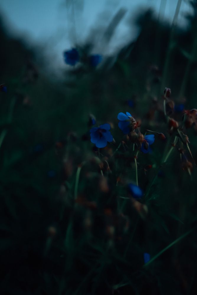 Photograph by Руслана Ковалевская