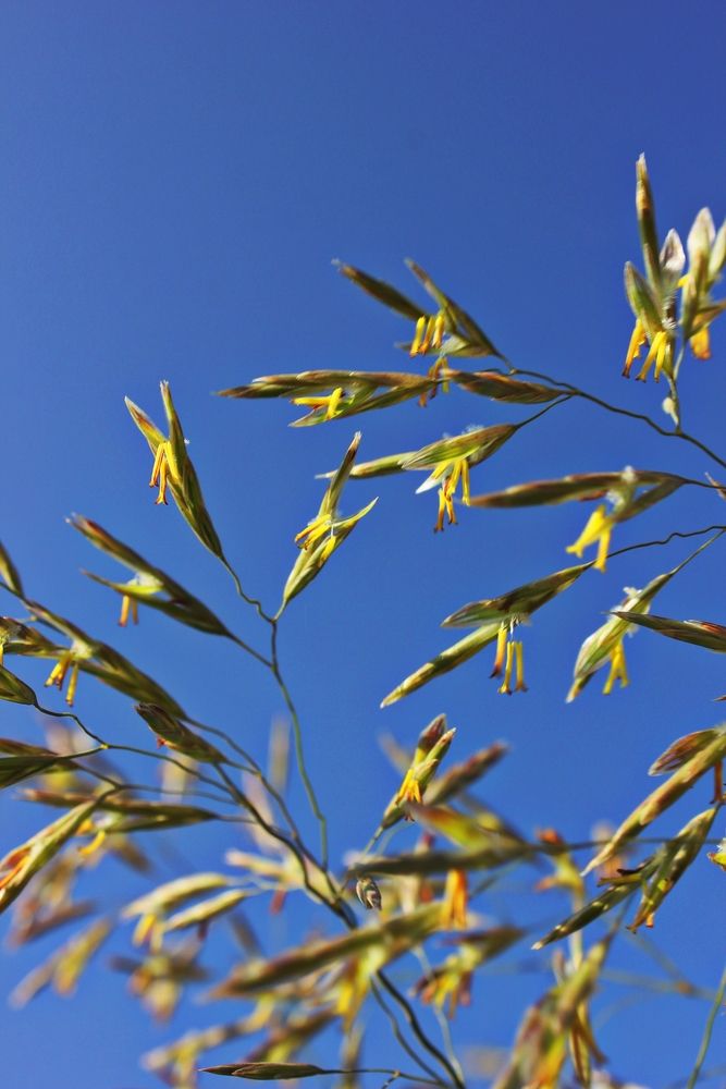 Photograph by Дарья Чертенкова