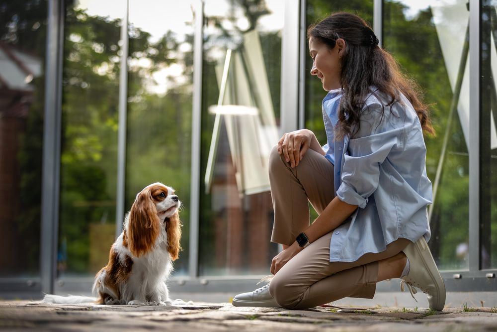 Photograph by Ирина Голомб