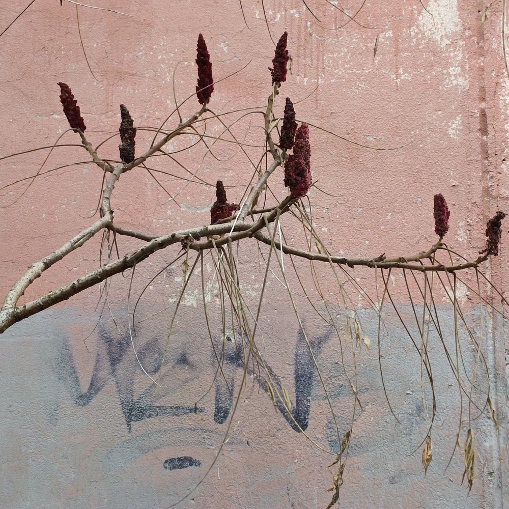 Photograph by Ирина Шведчикова