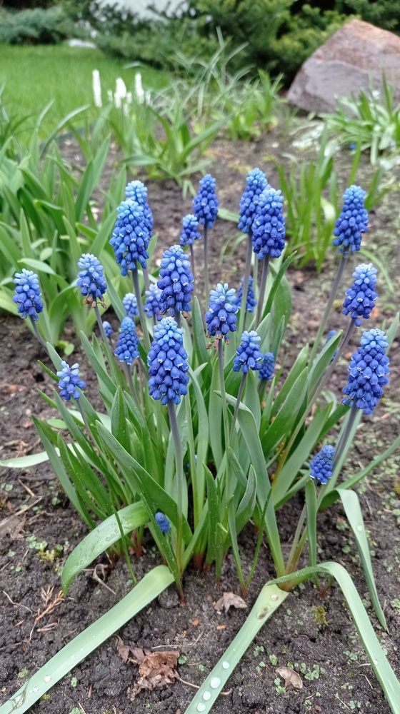 Фотография автора Костя