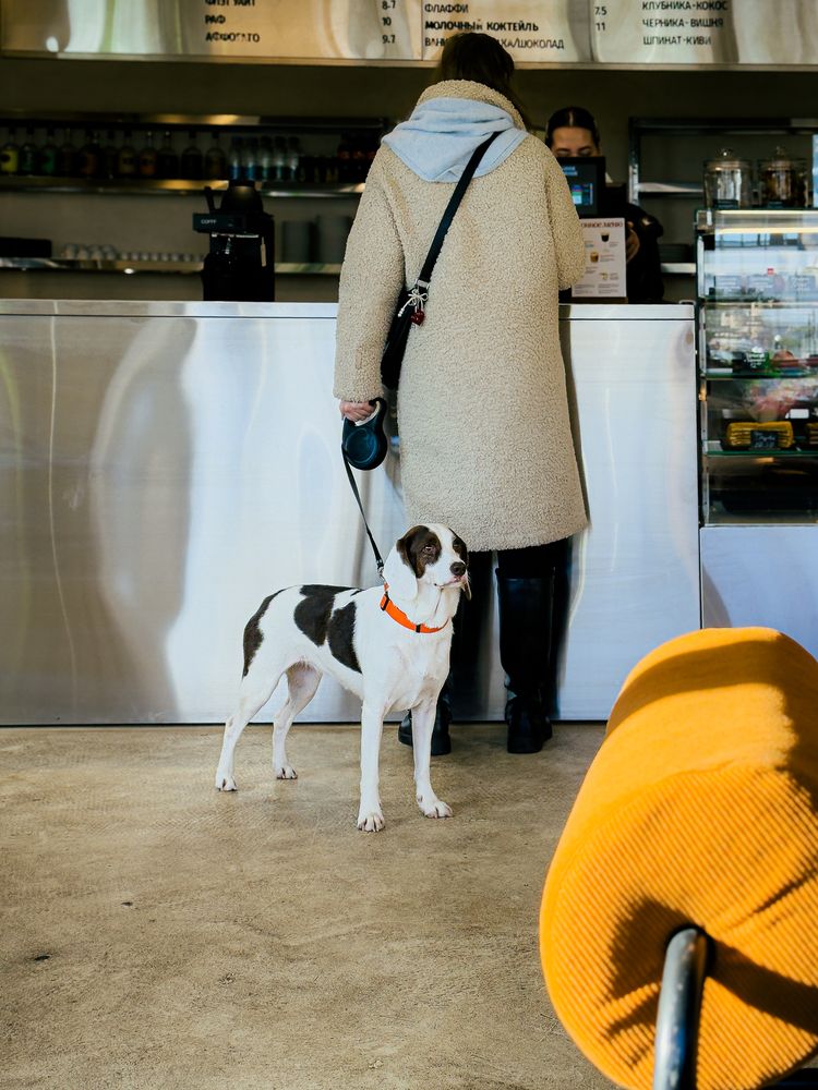 Photograph by Elizabeth Barkovskaya