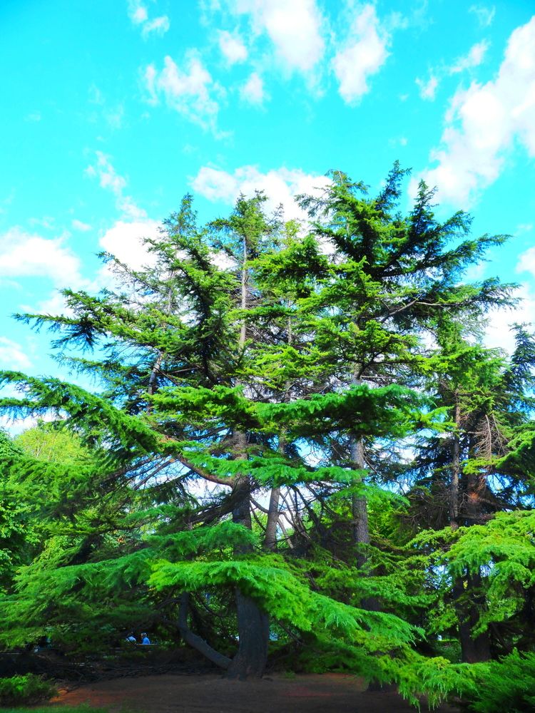 Photograph by Сергей Борисов