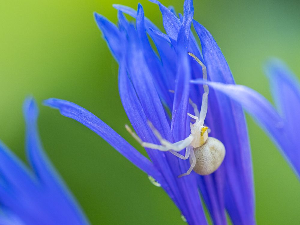 Фотография автора Петр Богомазов