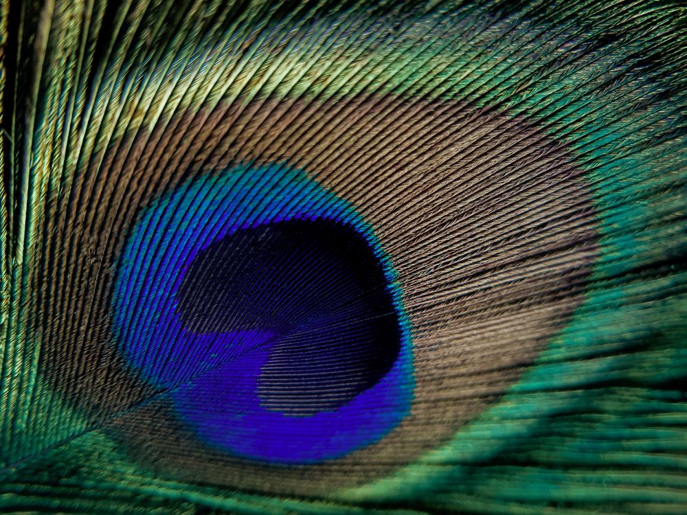 Фотография автора Анна Чичилова