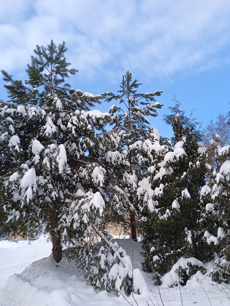 Photograph by Светлана