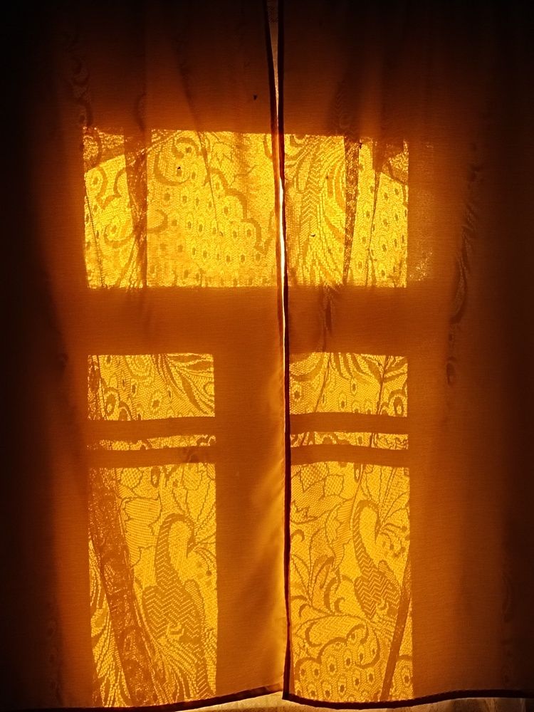 Photo #13169129