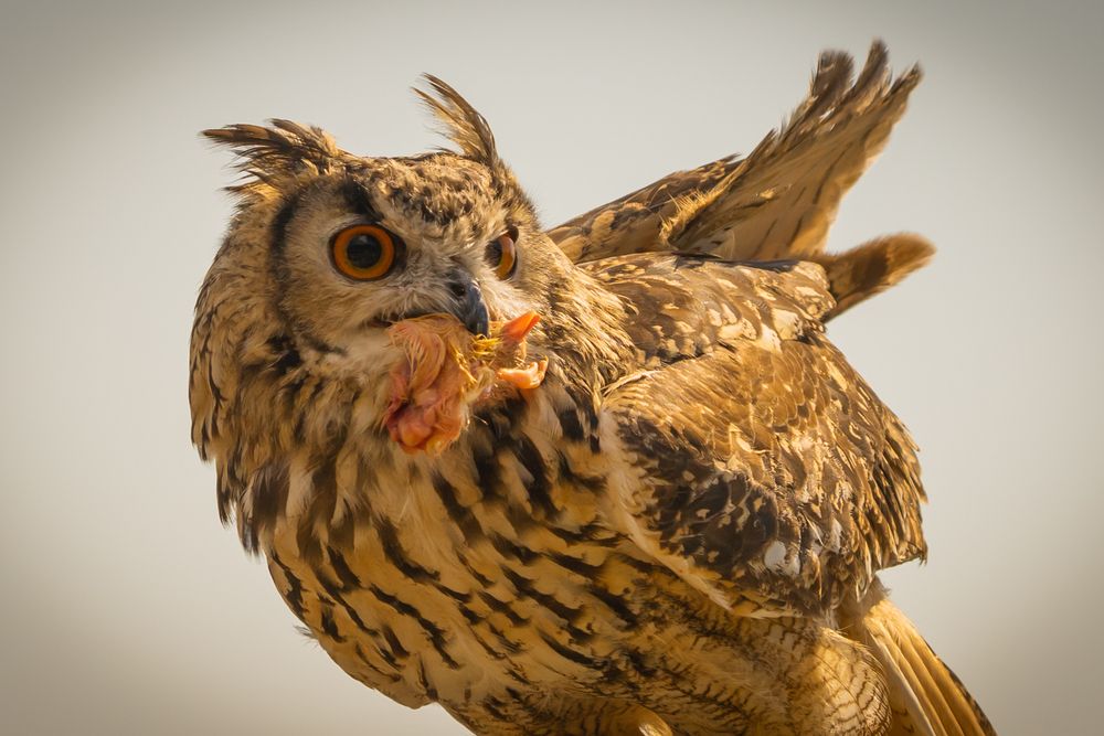 Photograph by Дария Максимова