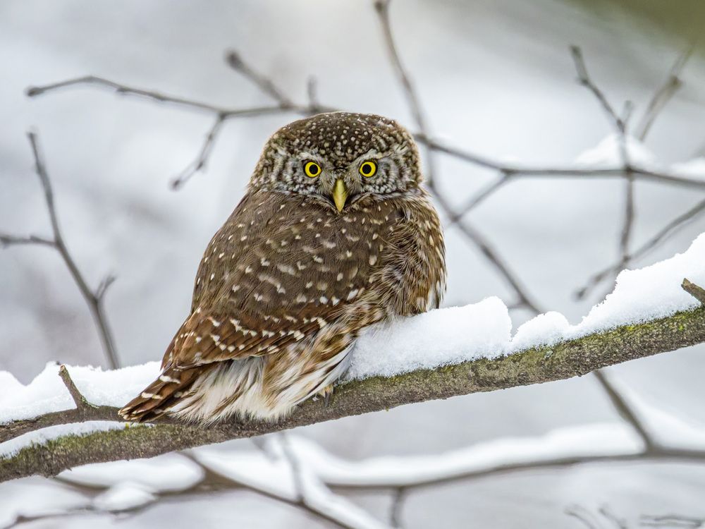 Photograph by Петр Богомазов