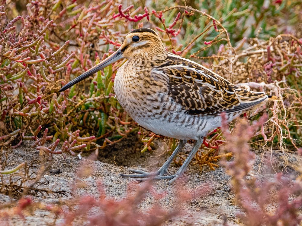 Photograph by Петр Богомазов