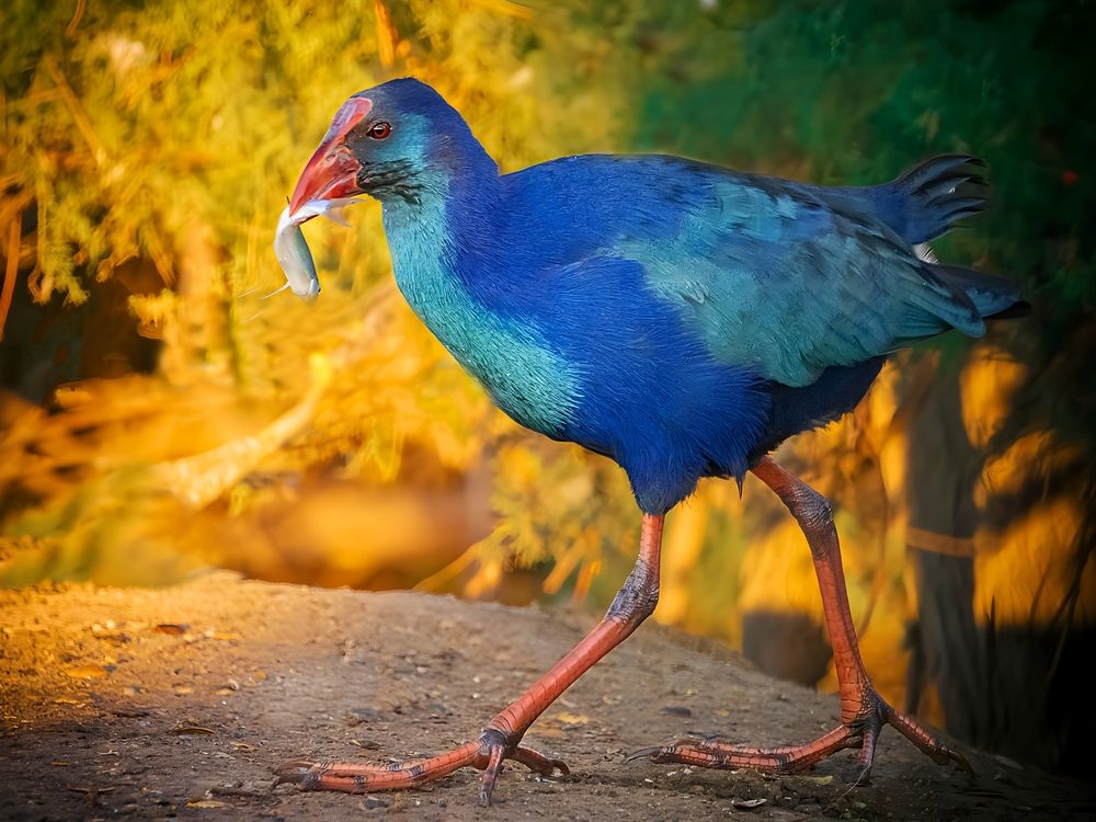 Photograph by Петр Богомазов