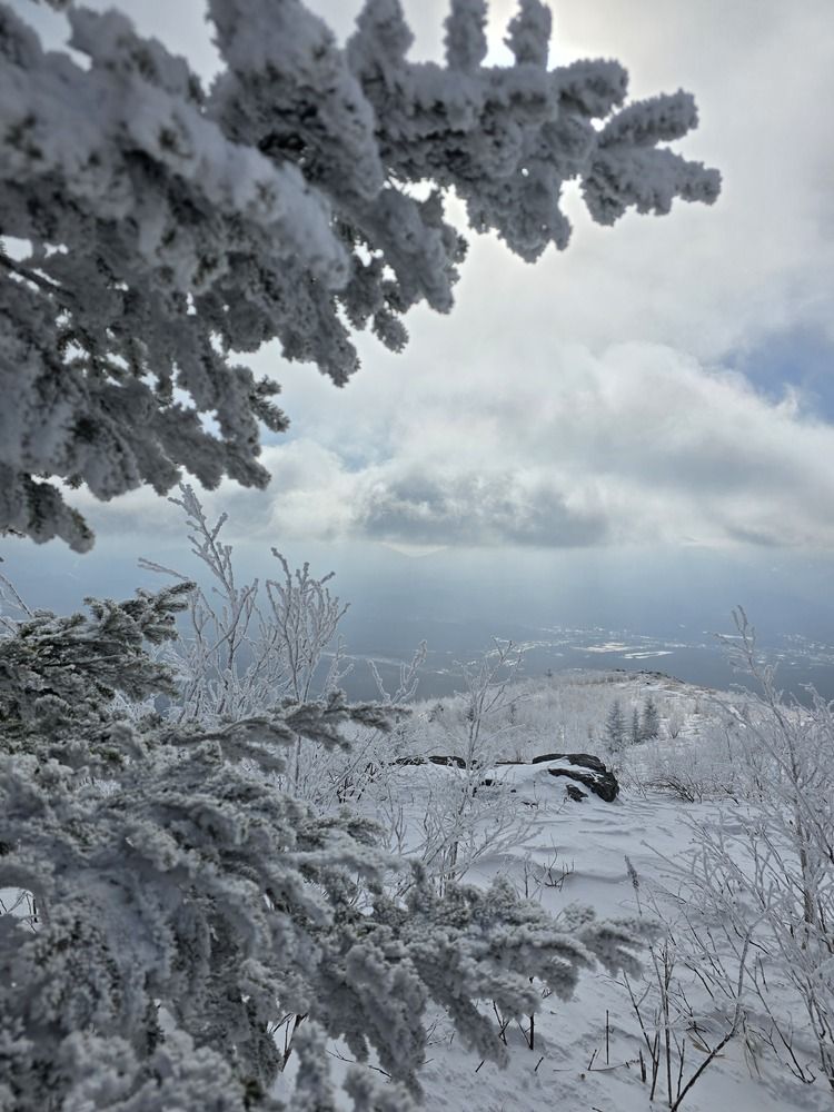 Photograph by Татьяна Дорожкина