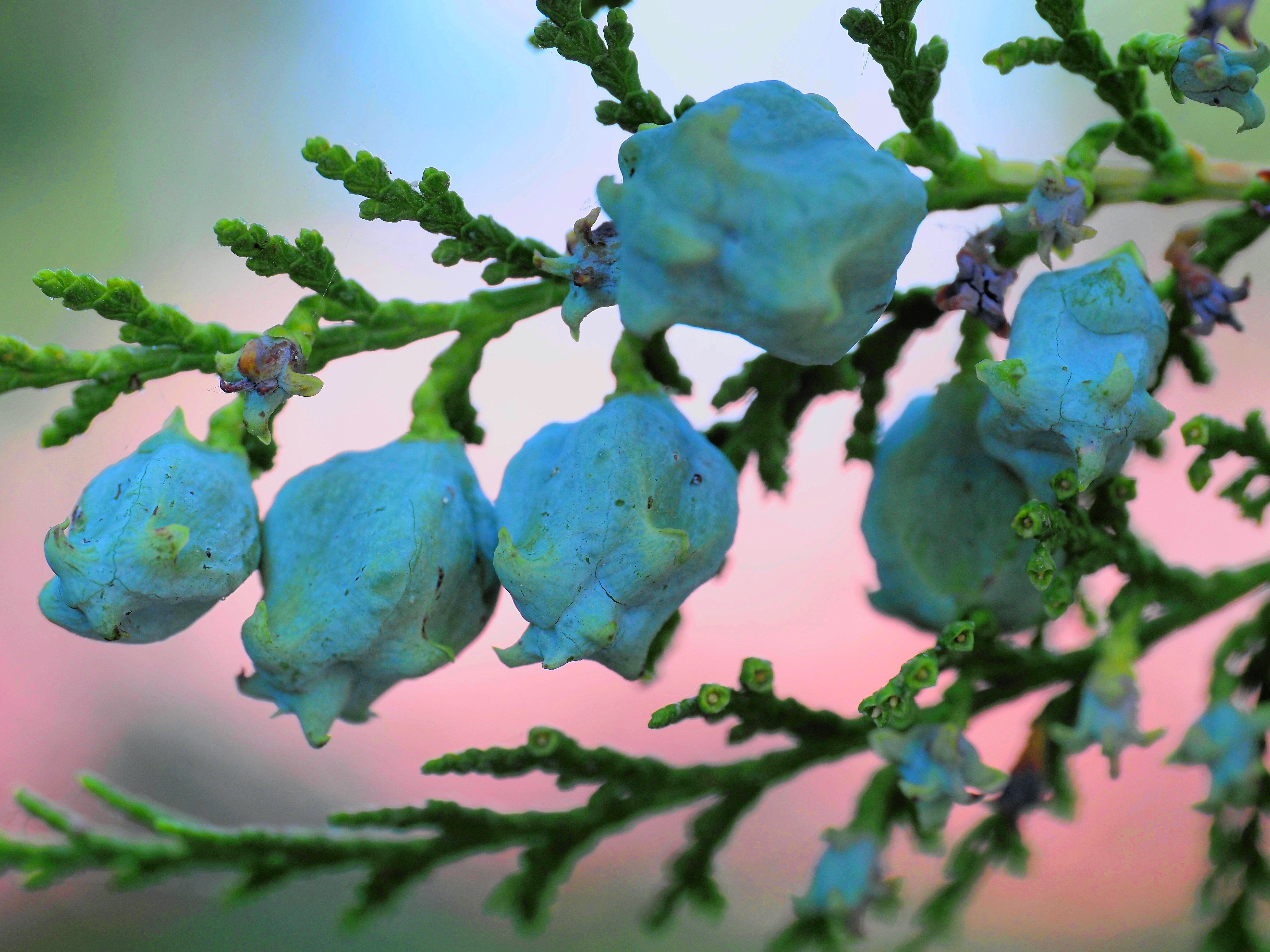 Photograph by Сергей Борисов