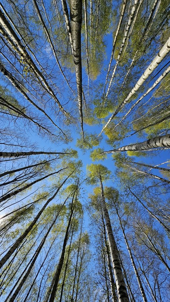 Фотография автора Галина