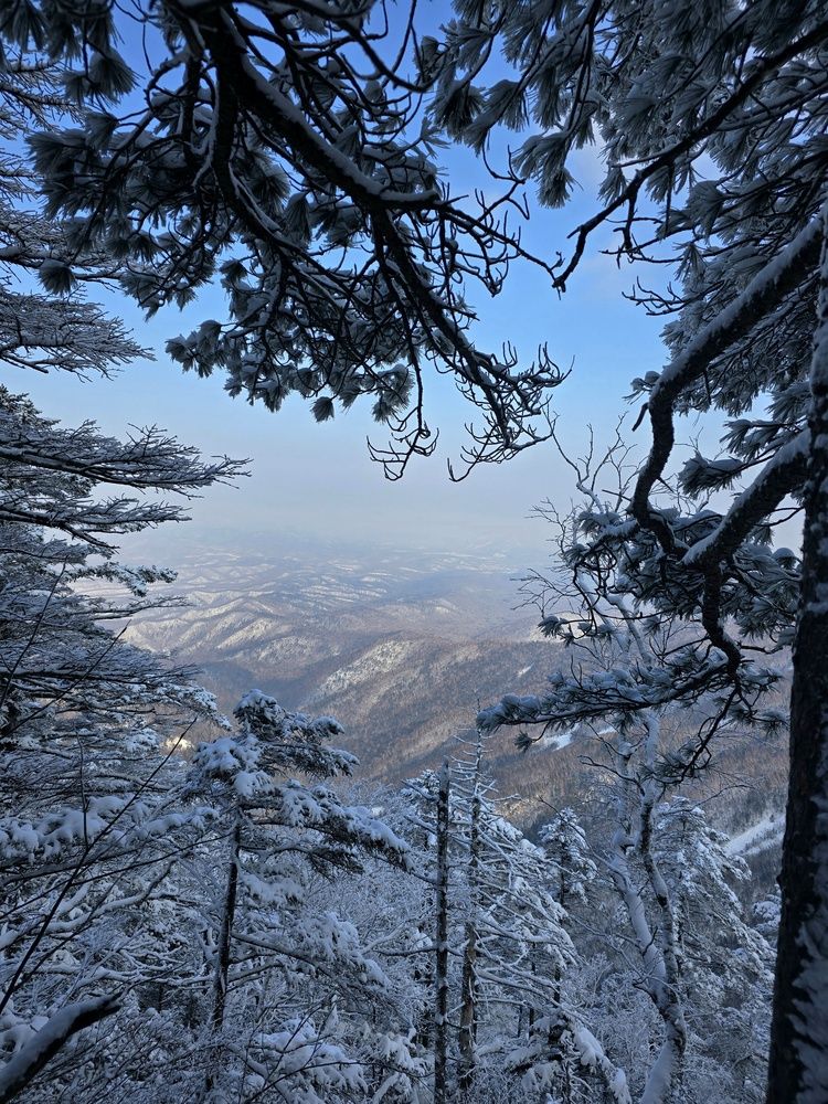 Photograph by Татьяна Дорожкина