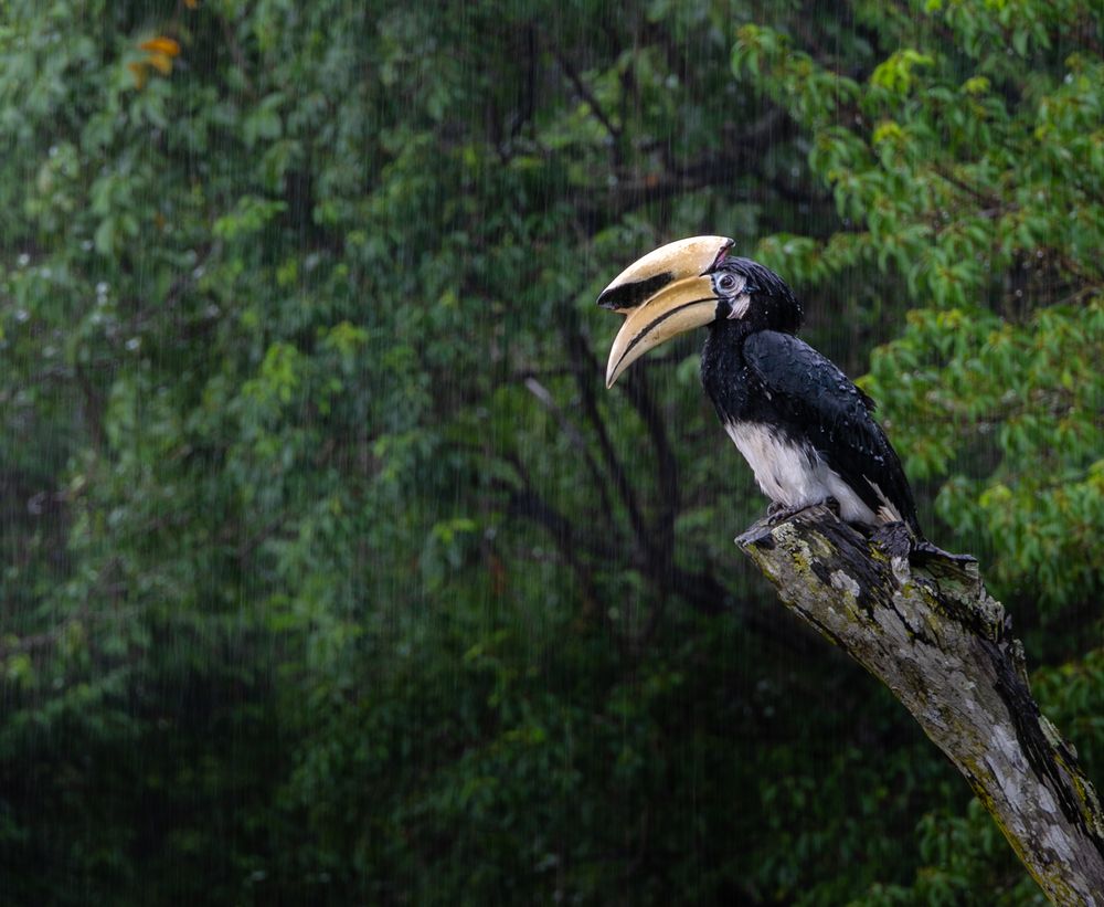 Photograph by Анна Стрелковская