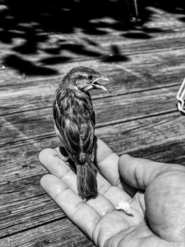 Photograph by Can O. Gunay