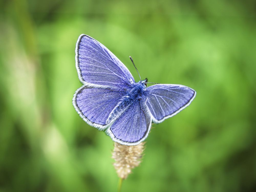 Photograph by Борис Полтавец