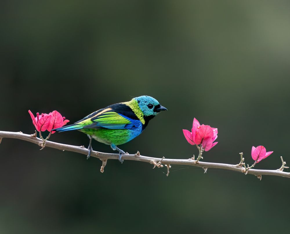 Photograph by Valdir Hobus