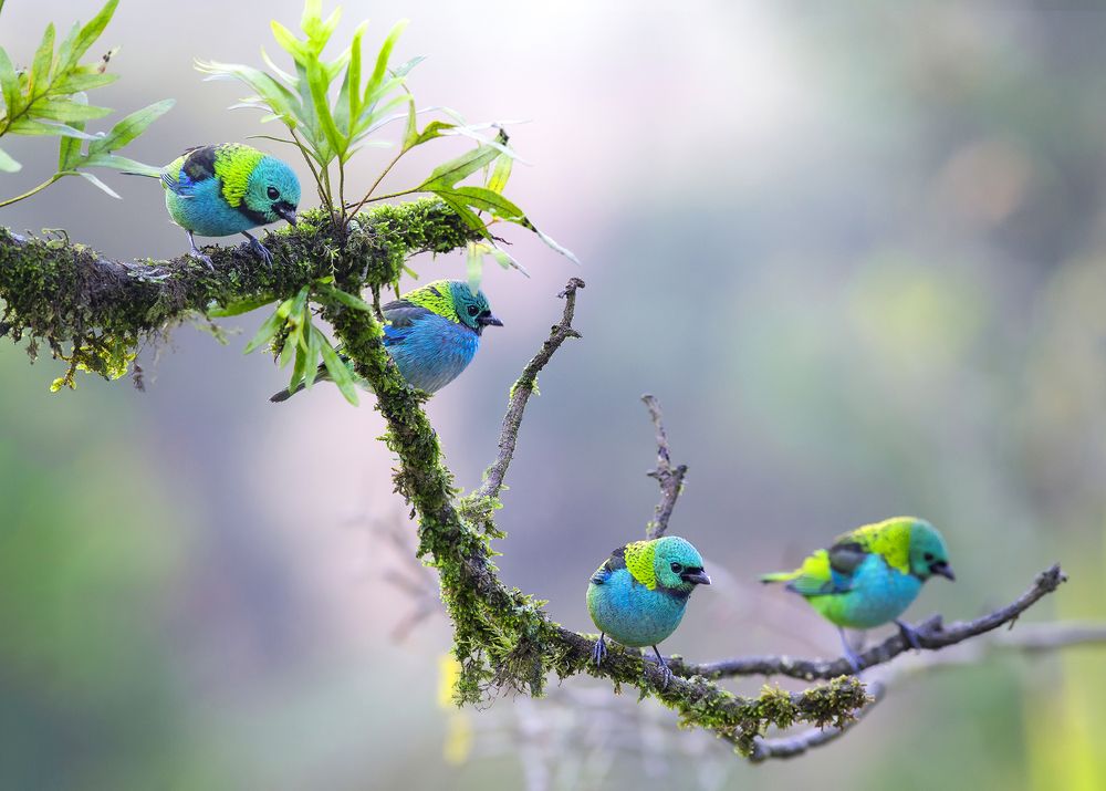 Photograph by Valdir Hobus