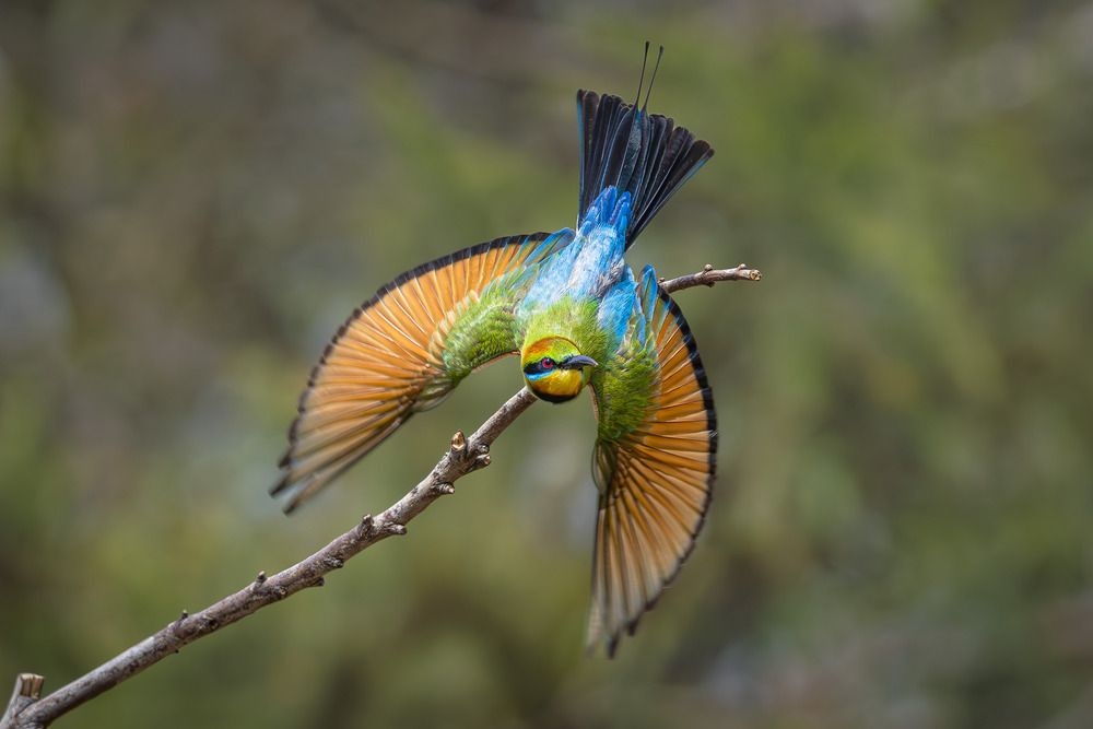 Photograph by Matthew Lock