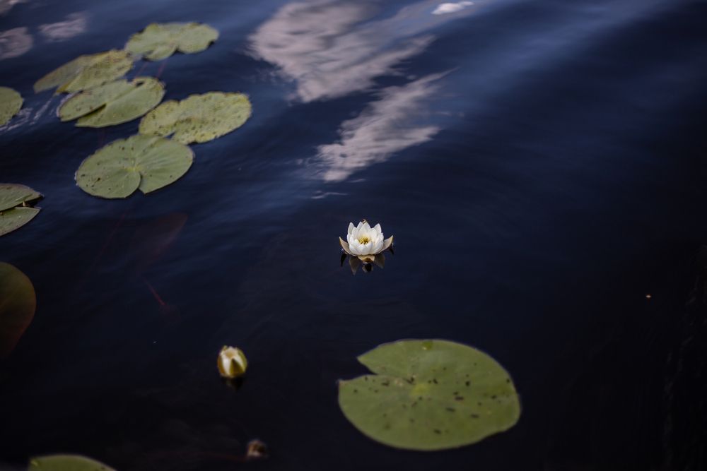Photograph by Софья Титова