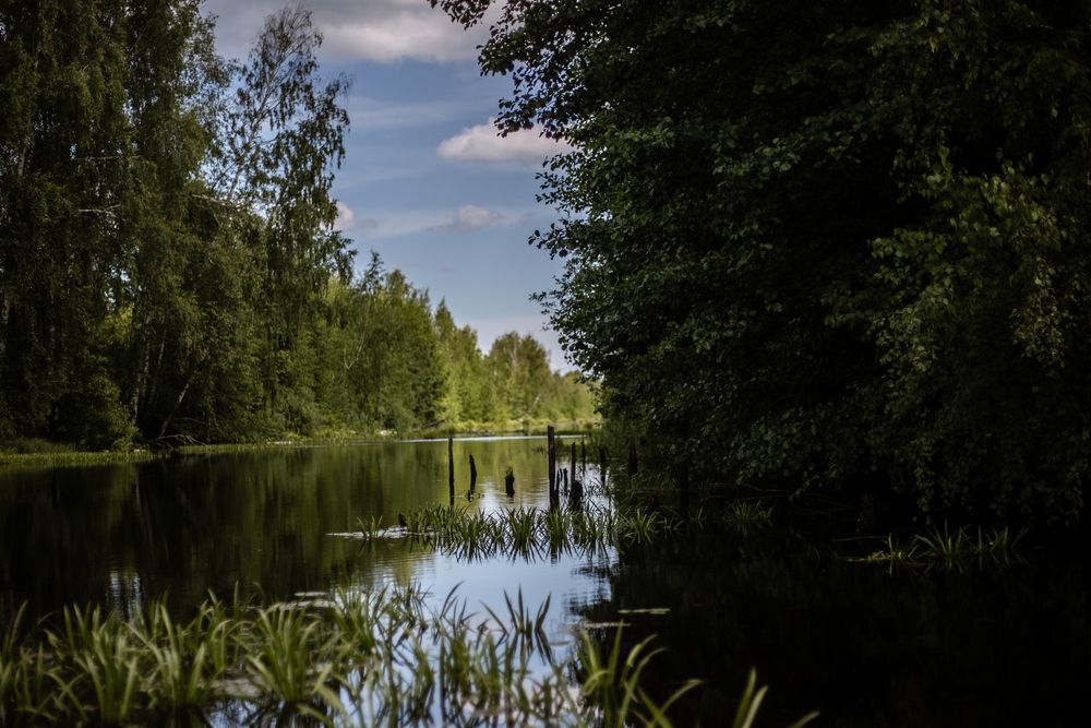 Photograph by Софья Титова
