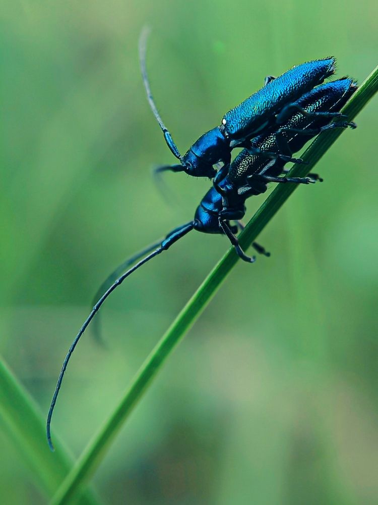 Фотография автора Наталья Алексеева
