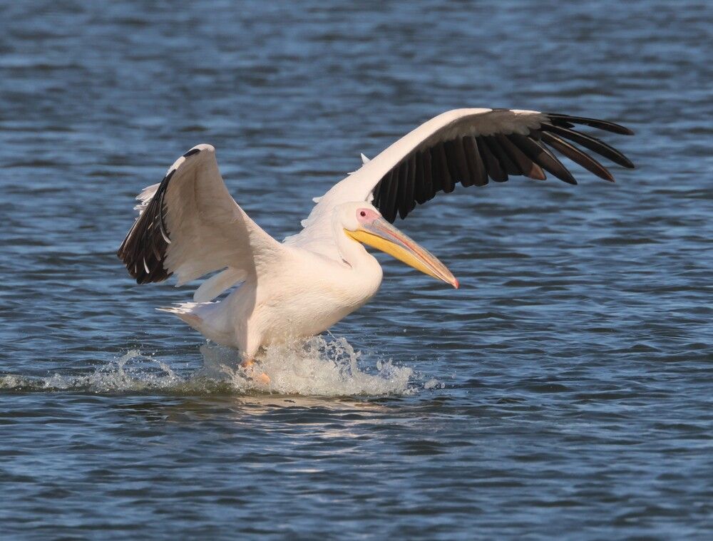 Photograph by Валентина Лопаткина