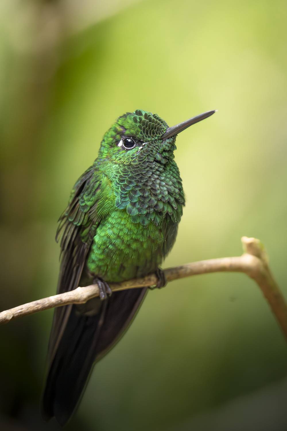 Фотография #13169327