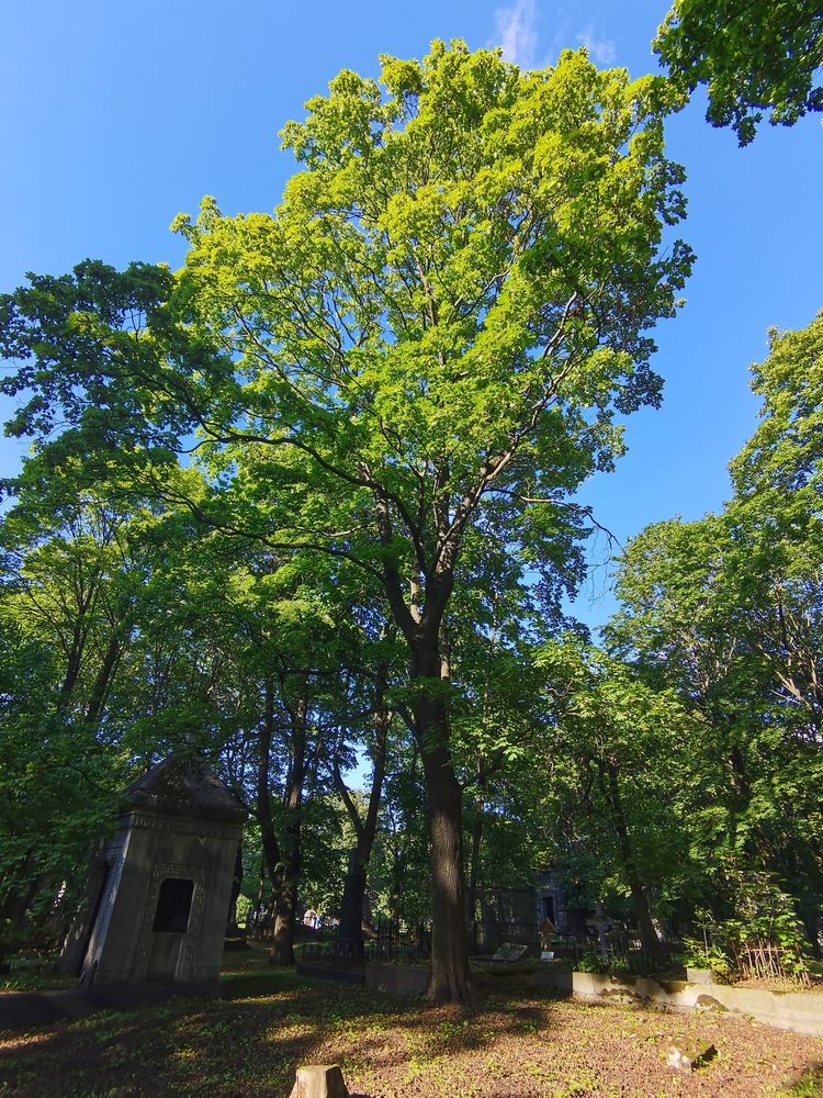 Photograph by Виталий Кореньков