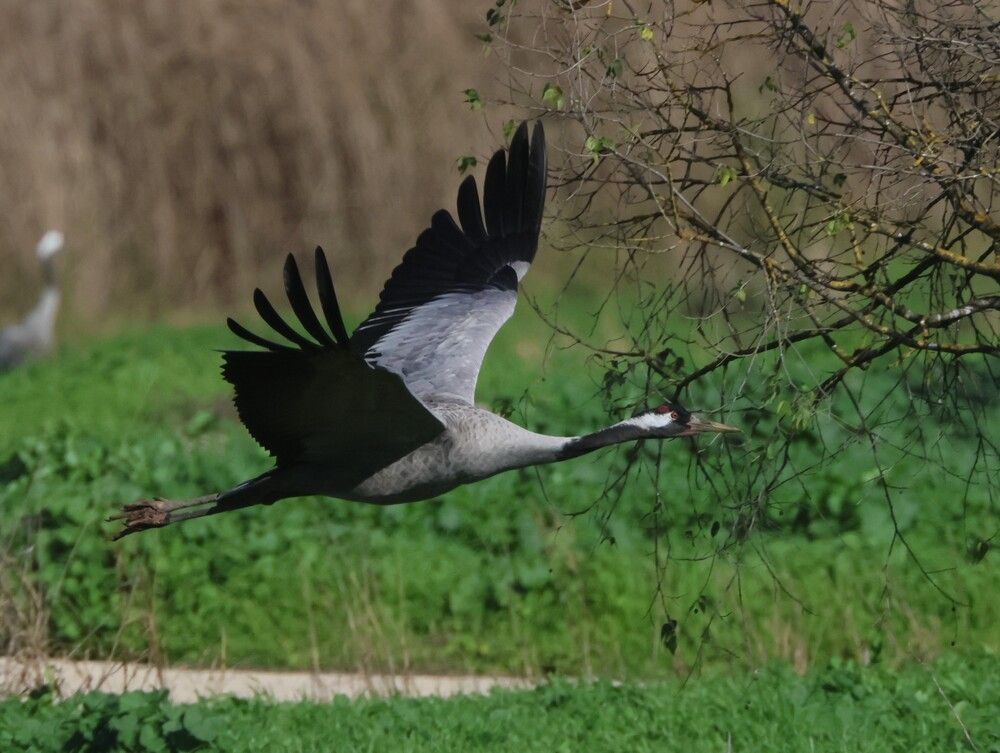 Photograph by Валентина Лопаткина