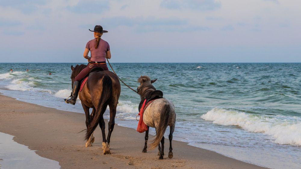 Фотография автора Виталий Панченко