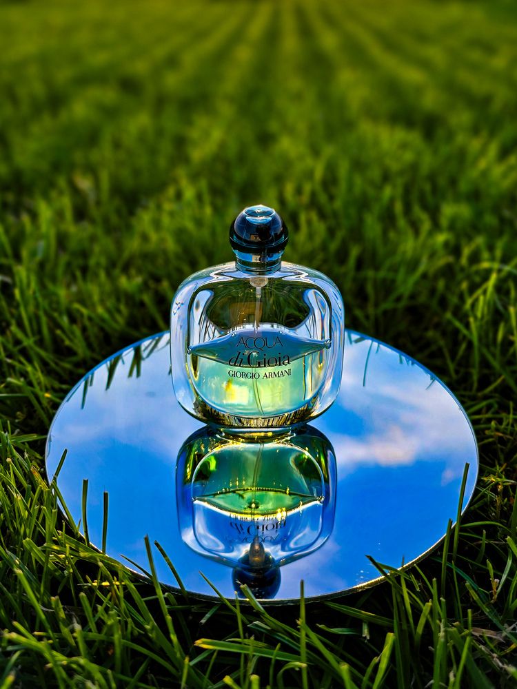 Фотография автора Елена Сиушова