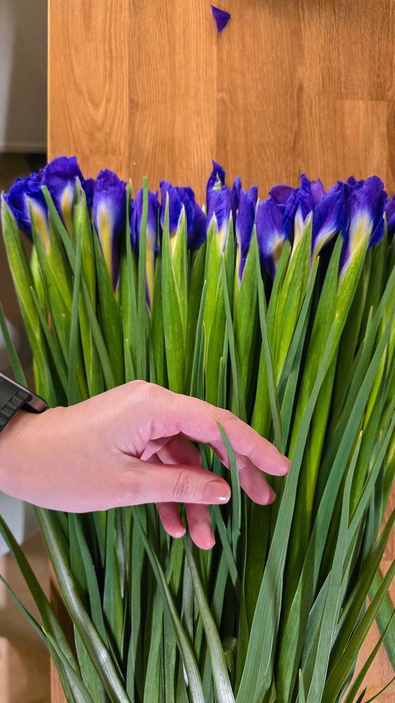 Фотография автора Елена Сиушова