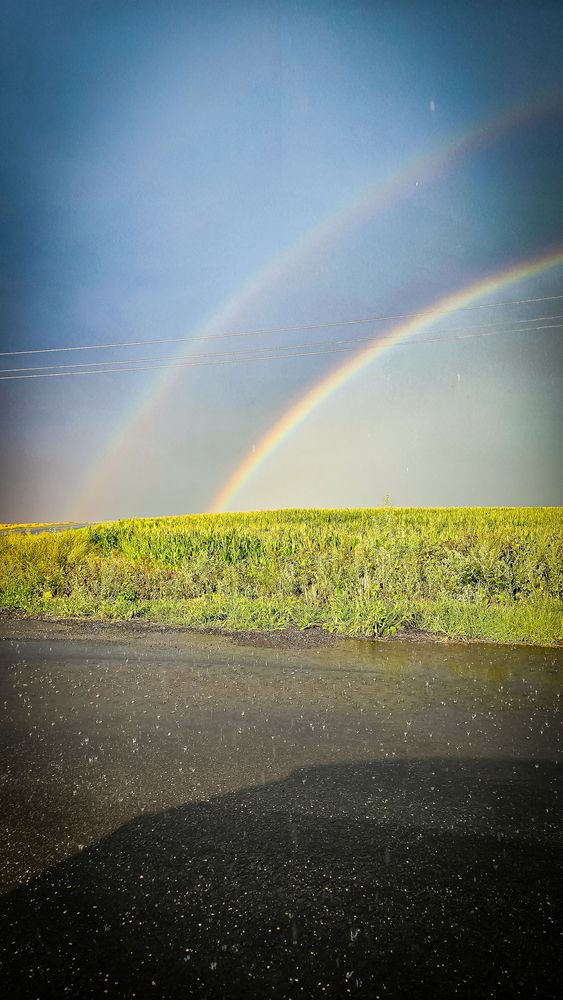 Фотография автора Елена Сиушова